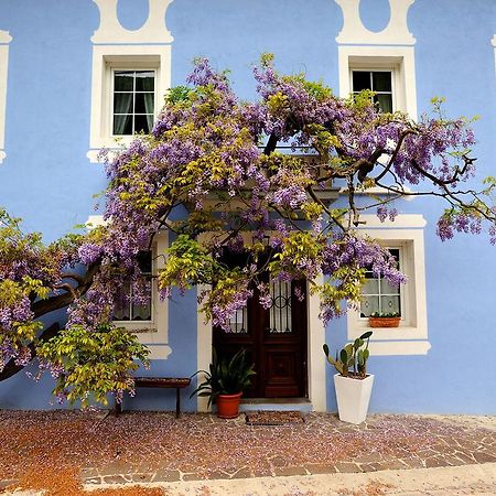 The Blue House Hotel Толмин Екстериор снимка