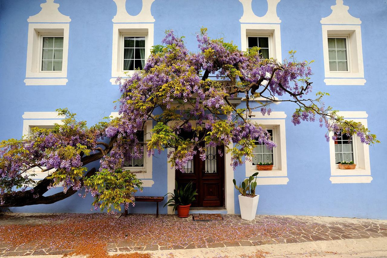 The Blue House Hotel Толмин Екстериор снимка